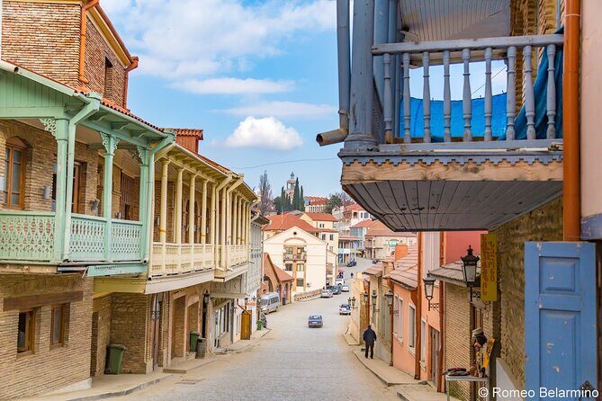 2 Full Day Private Tours from Tbilisi - Ananuri Fortress Complex: churches, towers, and defensive vibes