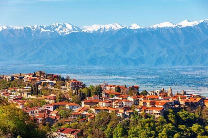 2 Full Day Private Tours from Tbilisi - Bodbe Monastery: St. Nino’s final resting place and big Alazani views