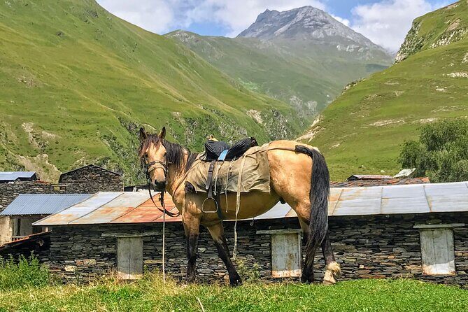 3 Day Tusheti Tour Explore Unspoiled Wilderness - Food, Comfort, and Whether $335 Makes Sense