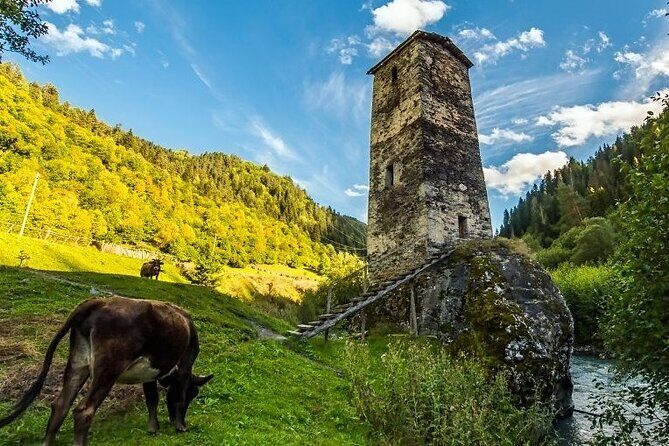 4-Day Tour in Svaneti - Mestia/Ushguli - Day 4: Martvili Canyon Return Stop and the Boat-Weather Question