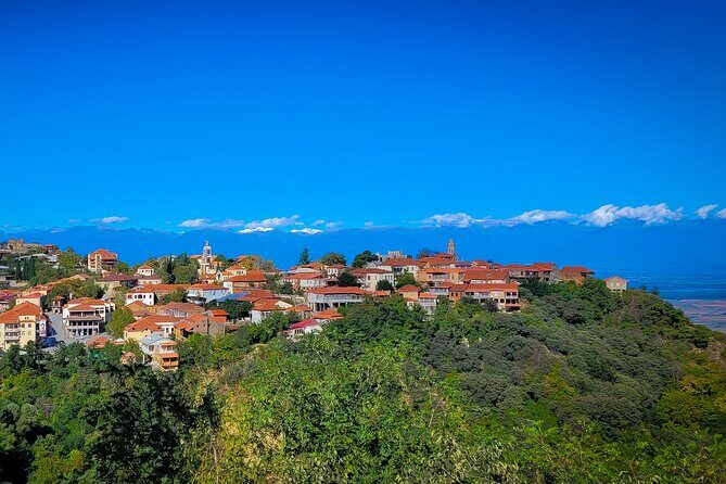 A day tour to Kakheti region/wine/culture/history and gastro tour - Kakheti with a private driver: the big win is not driving