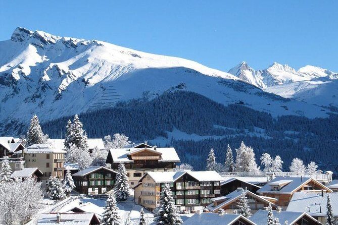 Bakuriani ski resort and the legendary Borjomi (Group Tour) - Borjomi Central Park: mineral water vibes and an easy pause