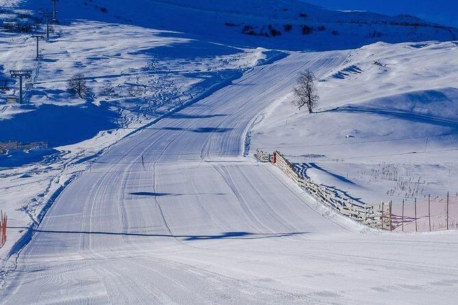 Bakuriani ski resort and the legendary Borjomi (Group Tour) - Bakuriani’s pine-frost feeling: what you’ll do in the main block