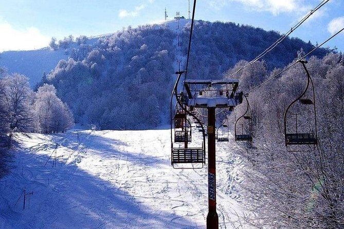 Bakuriani ski resort and the legendary Borjomi (Group Tour) - Skiing basics: timing, rentals, and why the guide matters