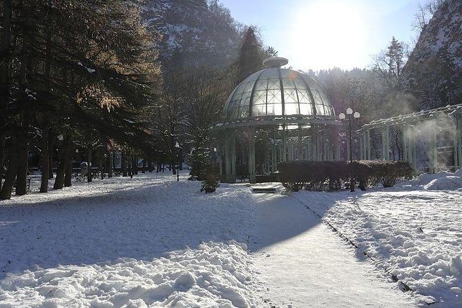 Bakuriani ski resort and the legendary Borjomi (Group Tour) - Who this tour suits best (and who might want a different plan)