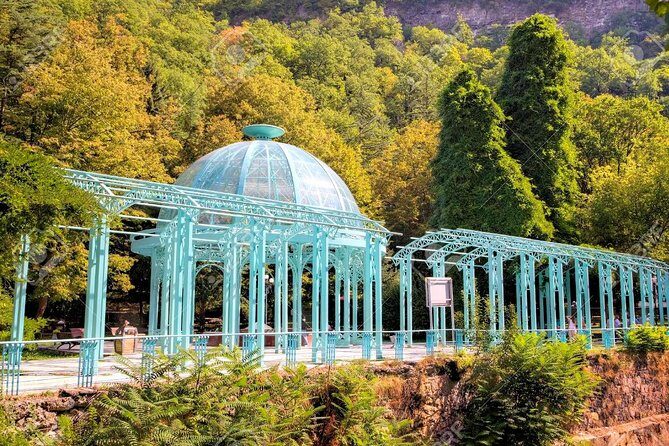 Borjomi National Park Full Day Private Tour From Tbilisi - Price and value: what $90 covers (and what you pay extra)