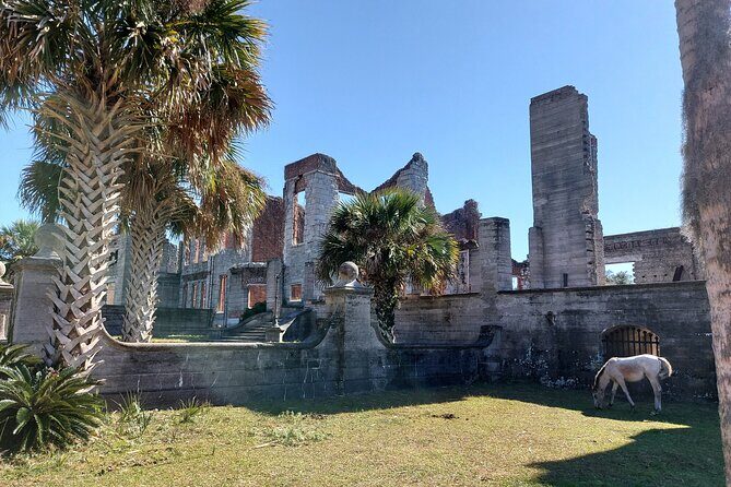 Cumberland Island Walking Tour - How the guide style changes everything (and why it matters)