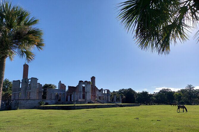 Cumberland Island Walking Tour - Meeting at Dungeness Dock: how to get started without losing time