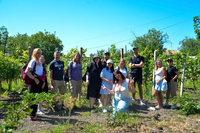 Day Trip to Kakheti Wine Region Including 9 Wine Tastings - Bodbe Monastery of St. Nino: spiritual stop with real photo payoff