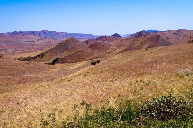 Day Trip to Rainbow Mountains and David Gareja - David Gareja Lavra: caves, history, and a border-region feel