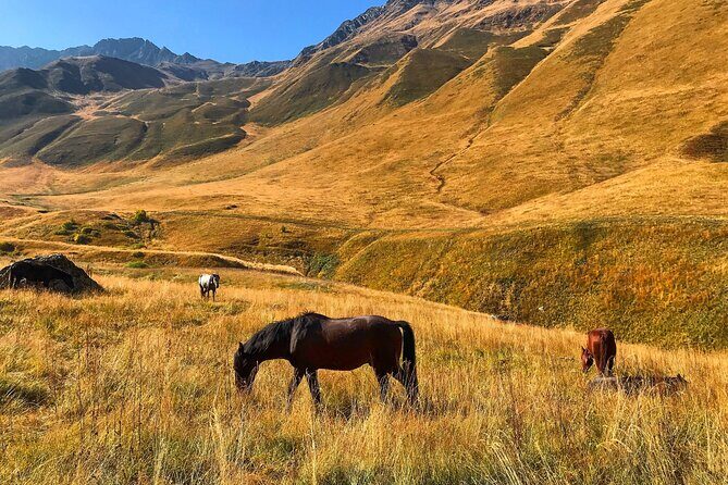 From Tbilisi: Kazbegi Ananuri Gudauri and Trusso Valley by 4x4 - A 4x4 Kazbegi–Truso Day From Tbilisi: What It Feels Like