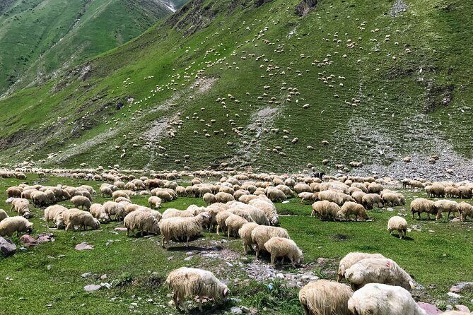 From Tbilisi: Kazbegi Ananuri Gudauri and Trusso Valley by 4x4 - Zhinvali Water Reservoir: Blue Water on a Photo-Stop Schedule