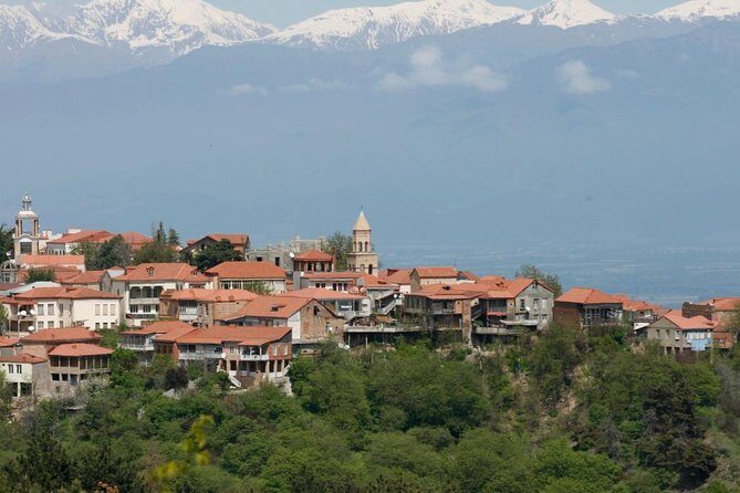 Full Day Private Wine Tour in Kakheti Region with Lunch and 3 Wine Tastings - Kakheti From Tbilisi: A Private Day Built Around Wine Culture
