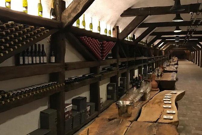 Full Day Private Wine Tour in Kakheti Region with Lunch and 3 Wine Tastings - Practical Tips So You Enjoy the Day (Not Just Finish It)