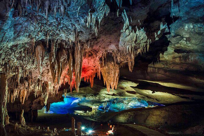 Georgia in 7 Days: A Haven for Nature and Sea Lovers - Day 7 back to Tbilisi: a calm end after mountains and sea