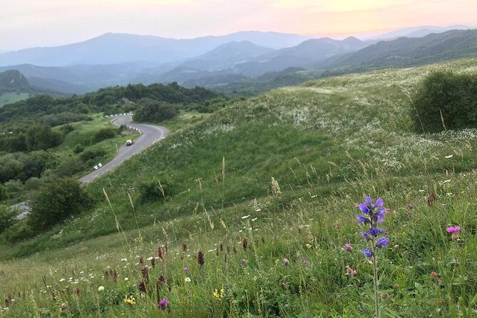 German village in Georgia (Elisabethal) & Wine tasting - What the guides do well: clear info, good humor, no overload