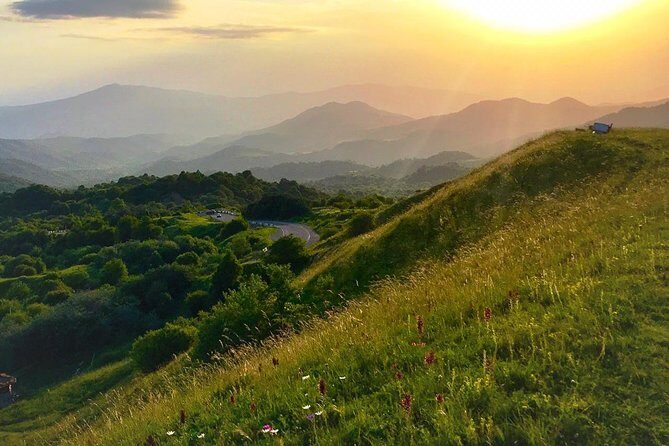 German village in Georgia (Elisabethal) & Wine tasting - FAQ