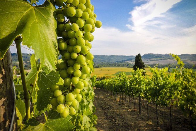 Grand tour to Kakheti for wine lovers: Telavi-Kvareli-Sighnaghi - Bodbe Monastery of St. Nino: a quiet, meaningful stop near Signagi later
