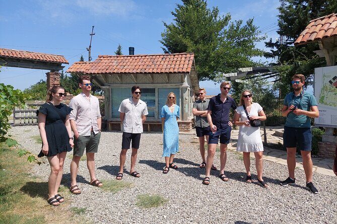 Kakheti.All inclusive Wine tour with family lunch - Kakheti in One Day: The Real Rhythm of This 9–12 Hour Tour