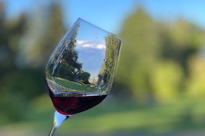 Kakheti.All inclusive Wine tour with family lunch - Shumi Winery in Tsinandali: Tastings Built Around Microzones (1 Hour)