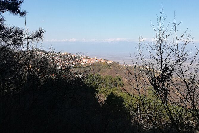 Kakheti Full Day Private Tour - Sighnaghi Ethnographic Park: Cobbled Lanes and Alazani Valley Views