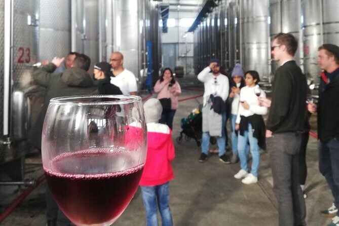 Kakheti Full Day Private Tour - Practical Tips for a Smooth Wine Country Day