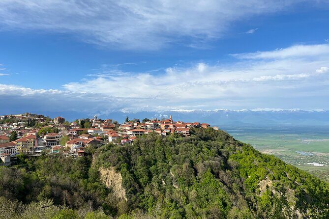 Kakheti-Sighnaghi Day Trip with wine tasting and Bodbe Monastery - Kakheti Wine Tasting Day Trip: What the Full Day Actually Feels Like