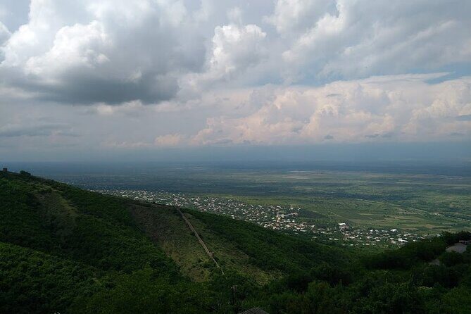 Kakheti-Sighnaghi Day Trip with wine tasting and Bodbe Monastery - Stop 1: Patardzeuli Wine Factory Tasting (4 Wines + Chacha Included)