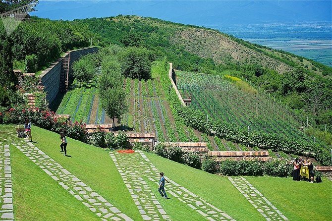 Kakheti: Signagi, Bodbe Monastery, Telavi, Wine Tour. Private tour - Badiauri bread, cheese, and churchkheli: Georgia you can taste while learning