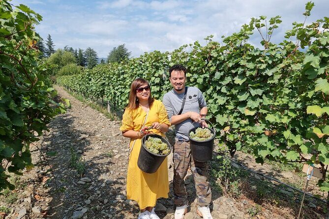 Kakheti - Small wineries and family-cooked lunch • Private tour - Price and logistics: what $116.89 really covers
