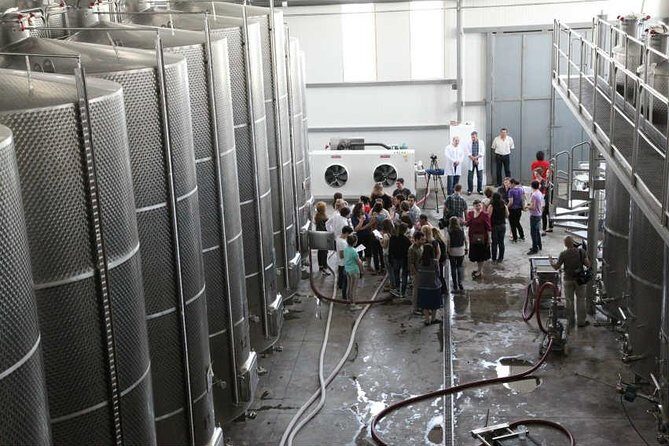 Kakheti Wine & Sighnaghi Private Tour from Tbilisi - A private day that actually feels like one day