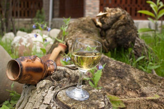 Kakheti Wine & Sighnaghi Private Tour from Tbilisi - The second tasting: a family-style stop in Marani