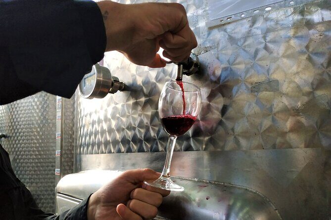 Kakheti Wine Tour with 20+ Wine Tastings & Qvevri Masterclass - Khareba’s Tunnel Winery Khareba: 7 km of aging in mountain cool air