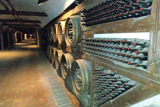 Kakheti Wine Tour with 20+ Wine Tastings & Qvevri Masterclass - How this tour fits different types of wine lovers