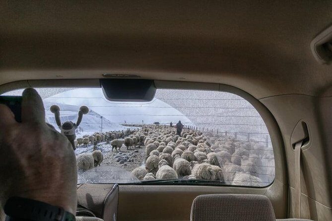 Kazbegi Adventure - Private Day Trip From Tbilisi with a Dinner + Masterclass - Price and Value: Is $175.03 Worth It?
