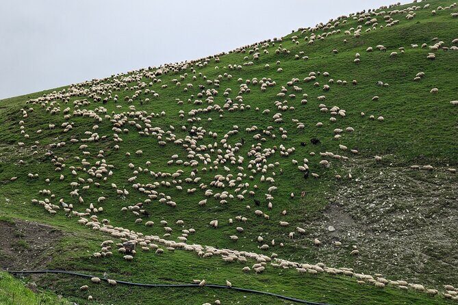 Kazbegi & Gudauri Private Full-Day Tour From Tbilisi - The Georgian Military Highway, from hotel pickup to mountain views