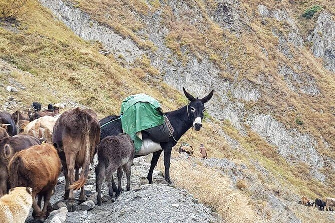Kazbegi MOUNTAIN Tour (GLORY OF THE NATURE) + MANY NEW LOCATIONS - Stop 3: Aragvi River and the Black-White River Story
