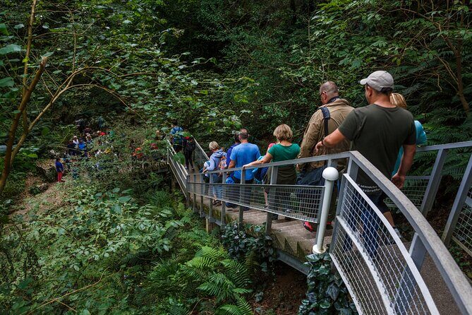 Martvili canyon & Prometheus Cave group tour from Tbilisi - Who this tour is best for