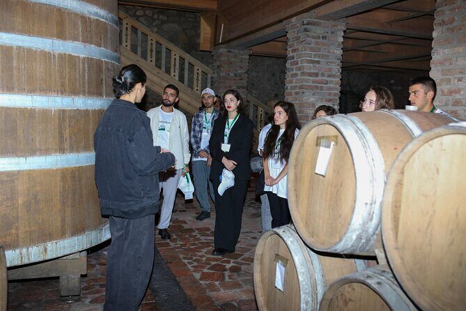 One Day Kakheti Tour with Wine Tasting and Free Churchkhela - Telavi: Wine-Region Walking and Landmarks Before Evening Return