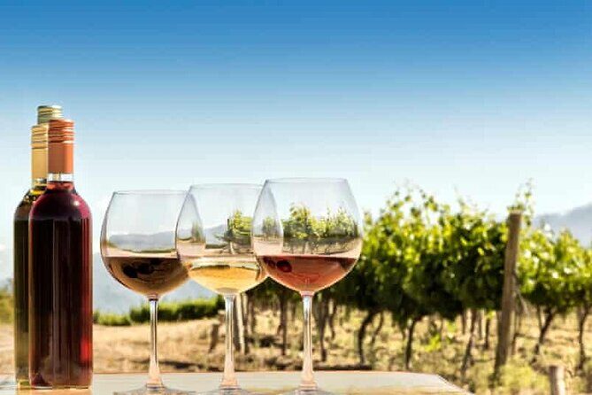 Private Day Trip to Kakheti Wine Region Including Wine Tasting - Food Planning: Lunch Isn’t Included, So Eat Like a Local (On Purpose)