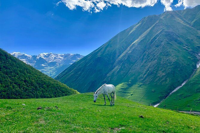 ️Private Full-Day Tour to Mtskheta and Kazbegi(stepantsminda) from Tbilisi - Zhinvali Reservoir: A Photo Stop on the Georgian Military Highway