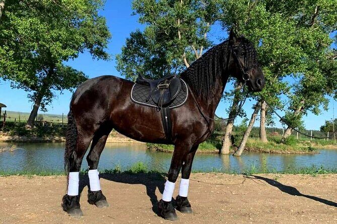 Private Horse Ridding tour - Where the ride actually happens: Lilo Mall and Kakheti Highway