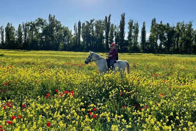 Private Horse Ridding tour - Instructors can make or break it: George, Chatou, Megi, and Temo