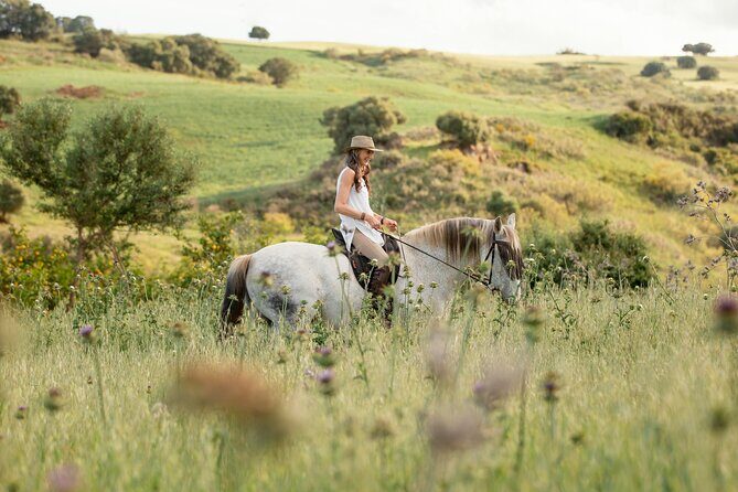 Private Horse Riding Adventure in Tbilisi - Price and time: what you’re paying for
