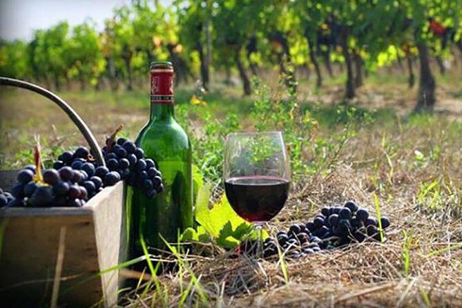 Private Wine Tour to Kakheti from Tbilisi - Tsinandali Palace: Chavchavadze, Gardens, and a Real Reason to Care