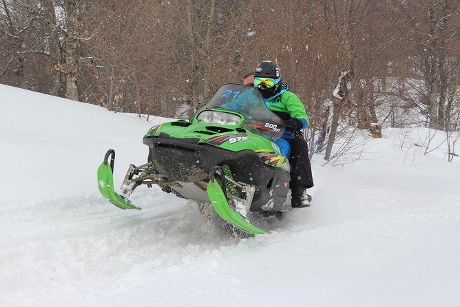 Snowmobile / Quad Bike ATV Private Tour from Bakuriani to Tabatskuri Lake - ATV or Snowmobile: What You’re Signing Up For