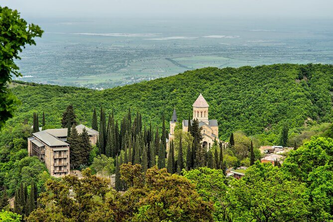 Taste of Kakheti: Wine Tour Bread Baking & Churchkhela Workshop - Telavi’s giant plane tree: a quick stop with real payoff