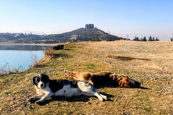 Tbilisi: Sabaduri Forest, Georgian Stonehenge & Bear Sanctuary - Jvari Monastery: UNESCO church walls above Mtskheta