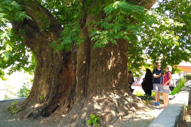 Tour to Kakheti. Sighnaghi –Bodbe Monastery –Tsinandali –Telavi –Winery –Gombori - Gombori Pass Return: The Scenic Drive at 1,620 m
