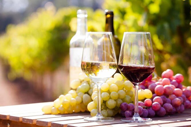 Wine Tasting Tour in Georgia's Cradle of Wine - A 5-day Kakheti wine route with more than tastings